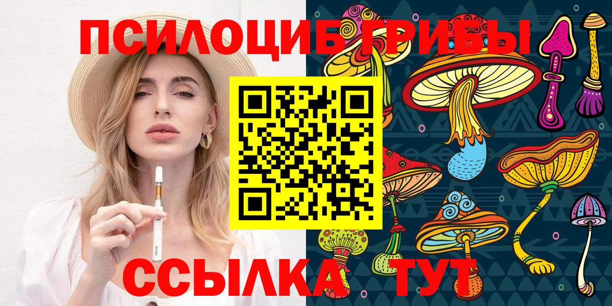 наркотики  Вход с VPN  Вятские Поляны  Галлюциногенные грибы Magic Shrooms 